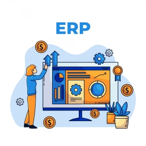 Integrating Custom ERPs: Challenges and Strategies for Connecting Custom Systems